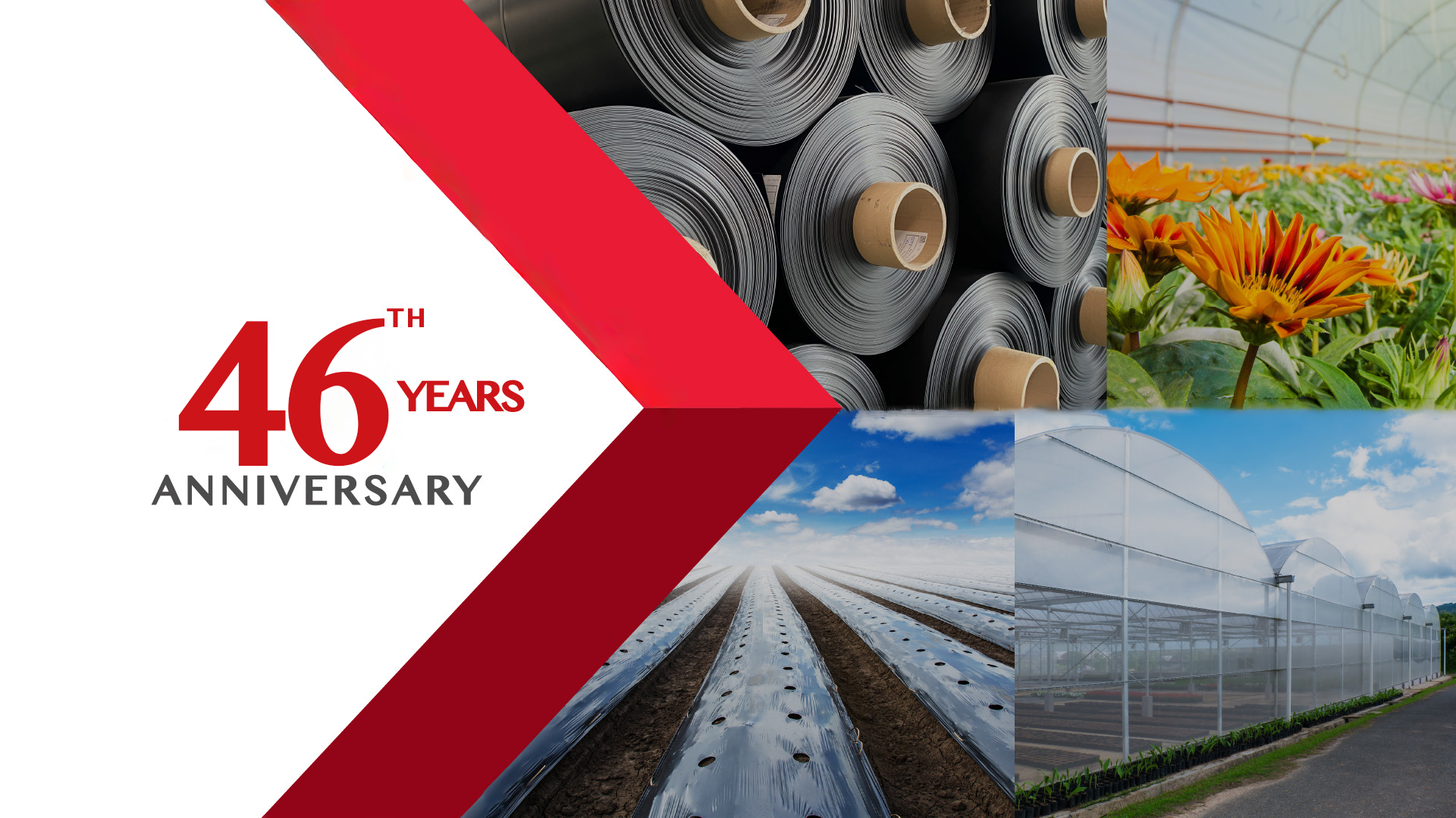 06032025-40-banner-46 Anniversary.png